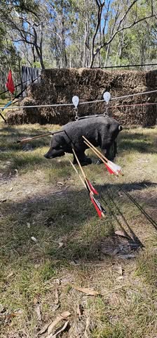 Special target setup on the range