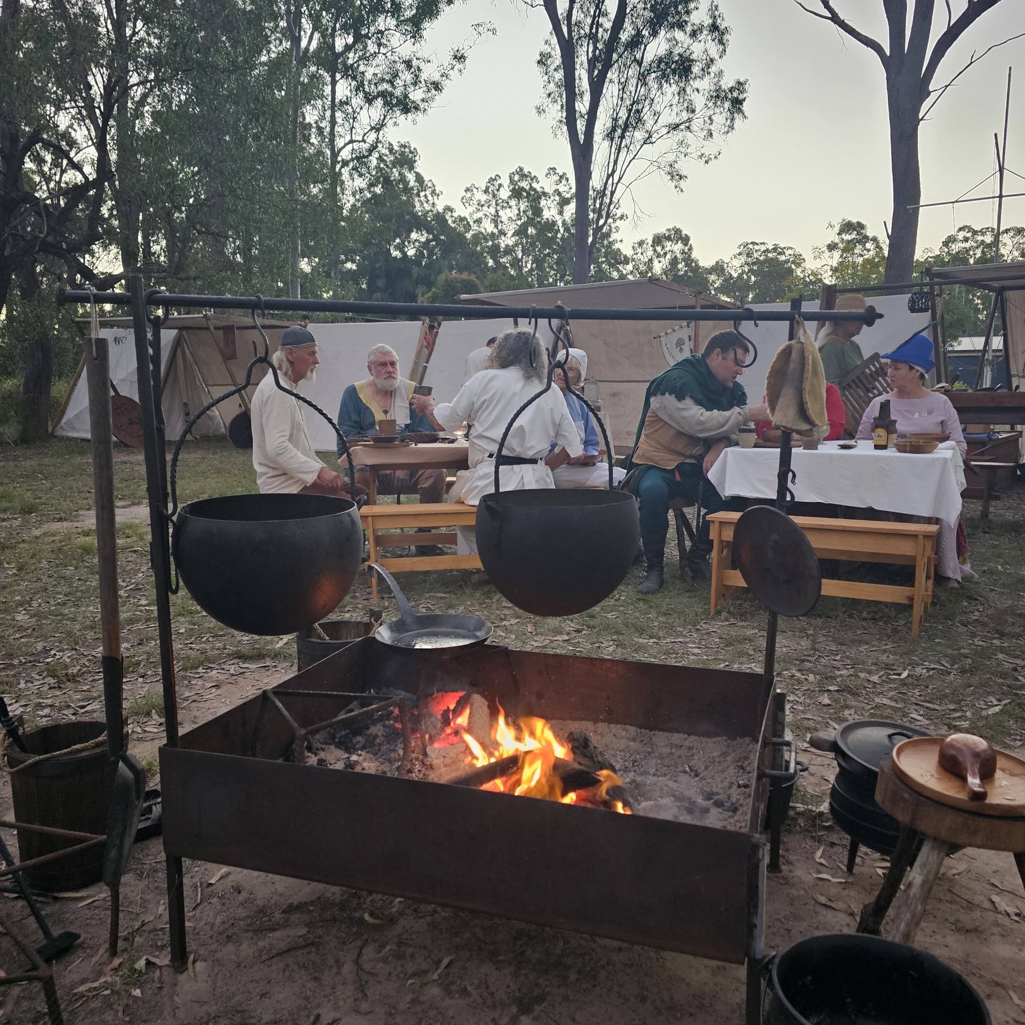 Campfire cooking setup